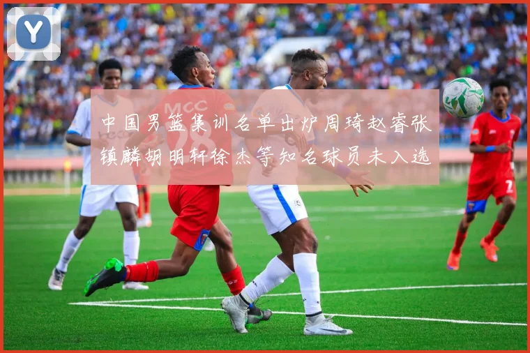 中国男篮集训名单出炉周琦赵睿张镇麟胡明轩徐杰等知名球员未入选
